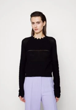 Victoria Beckham Long Sleeve Jumper - Pullover - Black 12 Victoria Beckham Long Sleeve Jumper - Pullover - Black -Next Soldes 4b34fde87797426697297586ce0f0478